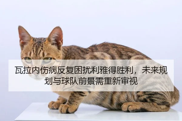wa-la-nei-shang-bing-fan-fu-kun-rao-li-ya-de-sheng-li-wei-lai-gui-hua-yu-qiu-dui-qian-jing-xu-chong-xin-shen-shi-2-229.jpg